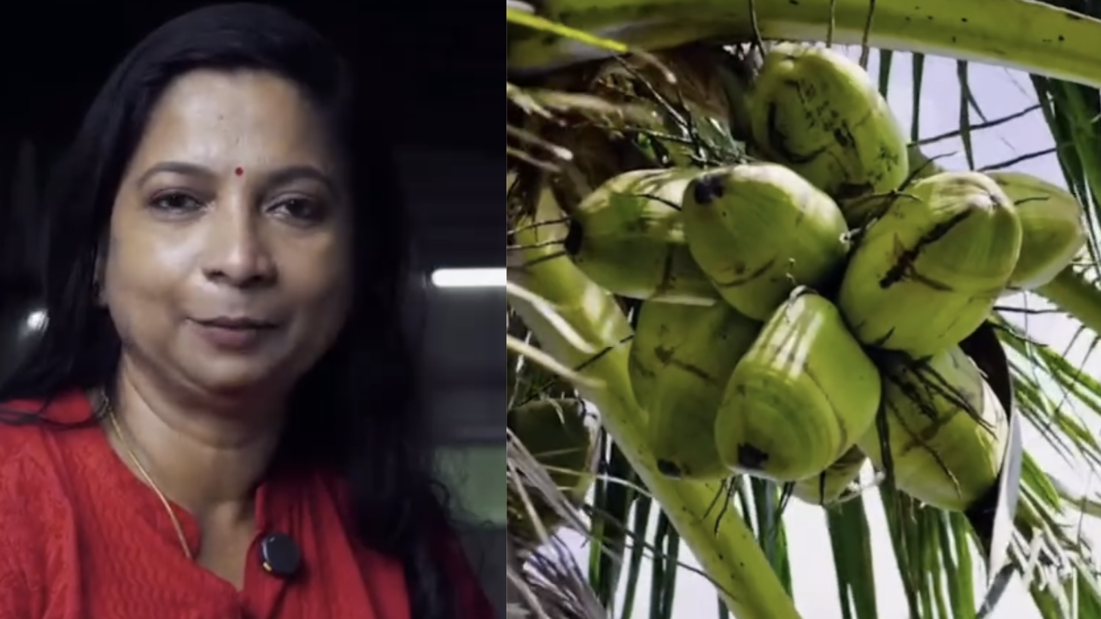 How A Kerala Woman Turned Coconuts Into A Rs 20 Lakh-A-Month Global Business