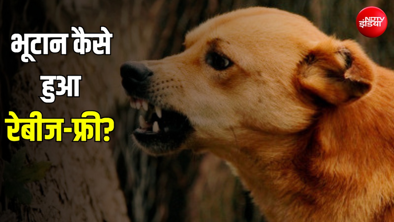 जिस बीमारी से भारत में होती हैं हजारों मौतें, उस पर भूटान ने कैसे पाया काबू?