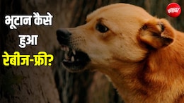 जिस बीमारी से भारत में होती हैं हजारों मौतें, उस पर भूटान ने कैसे पाया काबू?
