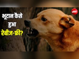 जिस बीमारी से भारत में होती हैं हजारों मौतें, उस पर भूटान ने कैसे पाया काबू?