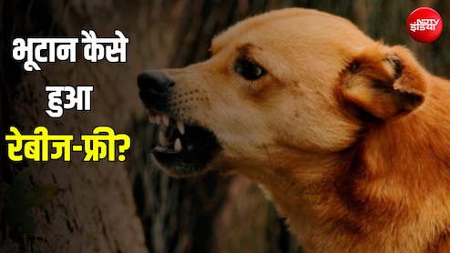 जिस बीमारी से भारत में होती हैं हजारों मौतें, उस पर भूटान ने कैसे पाया काबू?