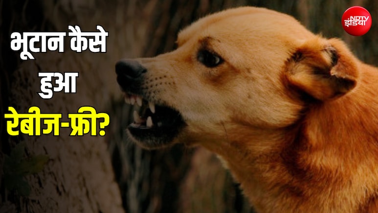 जिस बीमारी से भारत में होती हैं हजारों मौतें, उस पर भूटान ने कैसे पाया काबू?