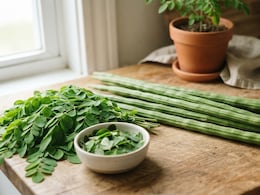 Drumstick Soup For Anaemia: Pods Or Moringa Leaves - Which Contain More Iron?