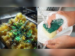 डिश स्पंज में पनप सकते हैं खतरनाक बैक्टीरिया, बर्तन धोने के लिए करें इन चीजों का इस्तेमाल