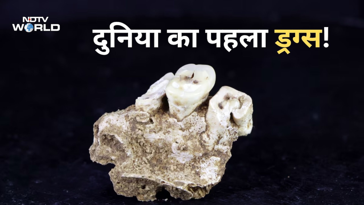 इंसानों ने नशा करना कब शुरू किया? अनुमान से हजारों साल पहले- नए रिसर्च में खुलासा
