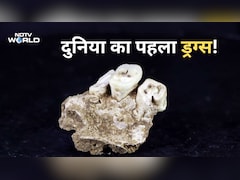 इंसानों ने नशा करना कब शुरू किया? अनुमान से हजारों साल पहले- नए रिसर्च में खुलासा