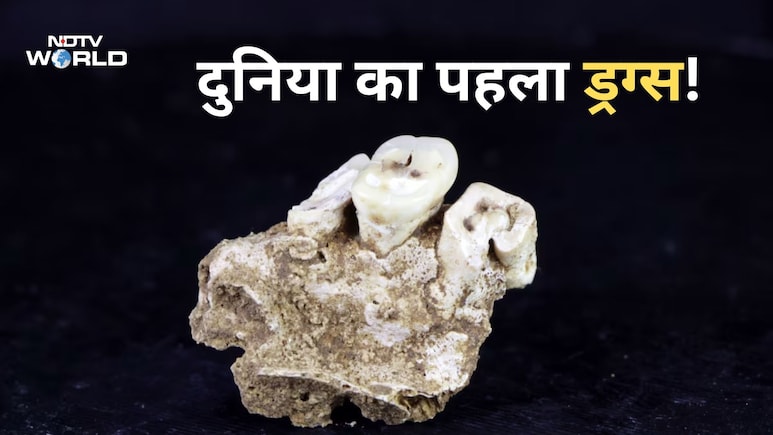 इंसानों ने नशा करना कब शुरू किया? अनुमान से हजारों साल पहले- नए रिसर्च में खुलासा