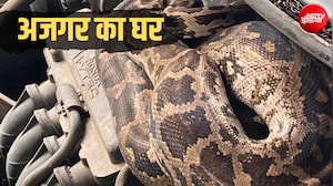 अजगर ने कार के बोनट को बनाया घर, नजारा देख रह जाएंगे हैरान, देखें Video