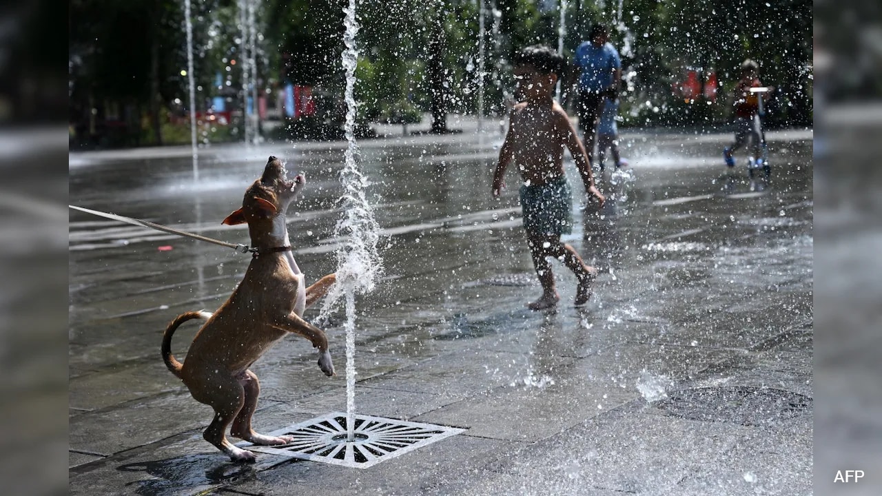 Belgium Records Nearly 3,000 Excess Deaths During Summer Heatwaves
