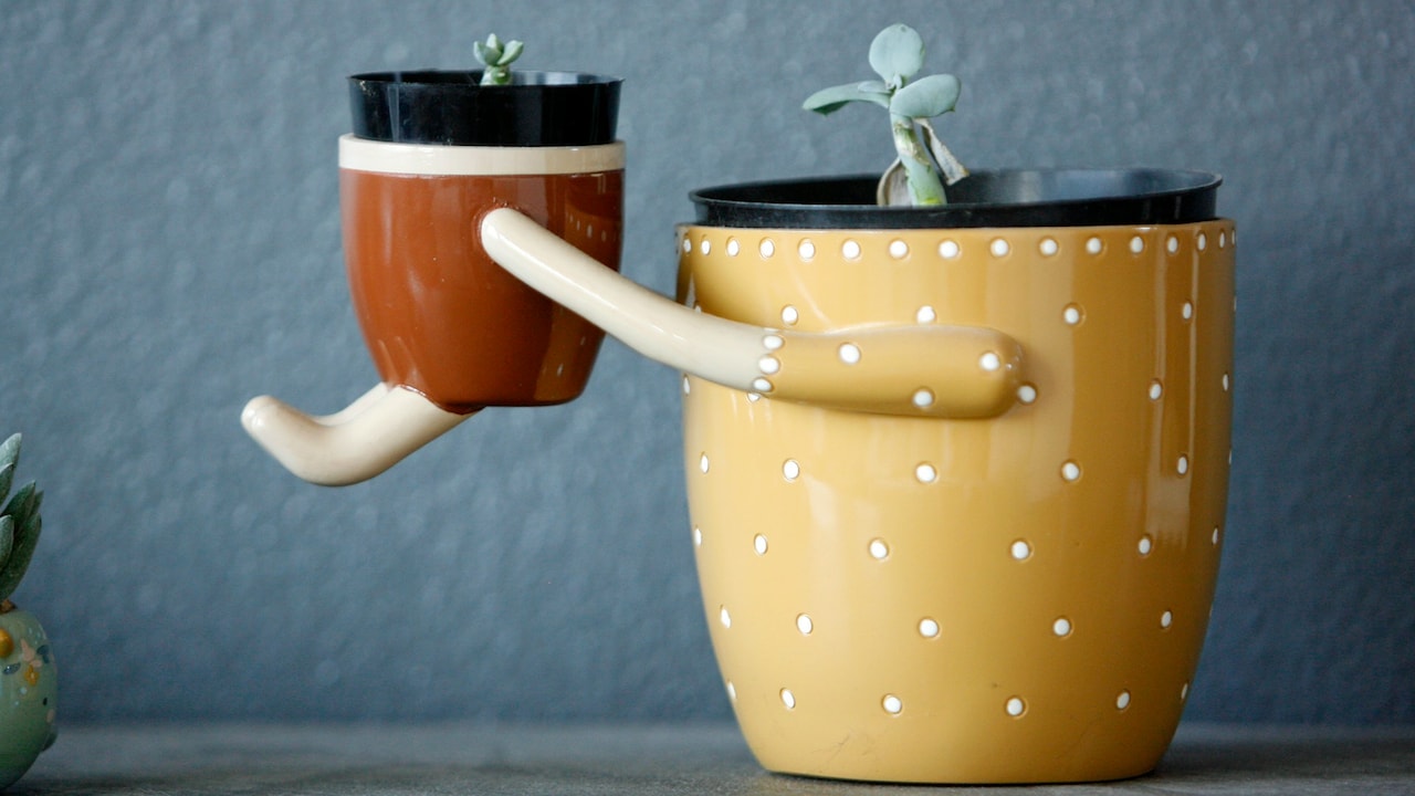 Self-Watering Planters Self-Watering Planters