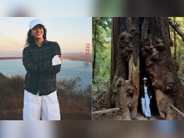 Golden Gate Bridge To Redwoods, Triptii Dimri's San Francisco Pictures Will Make You Want To Plan A Holiday