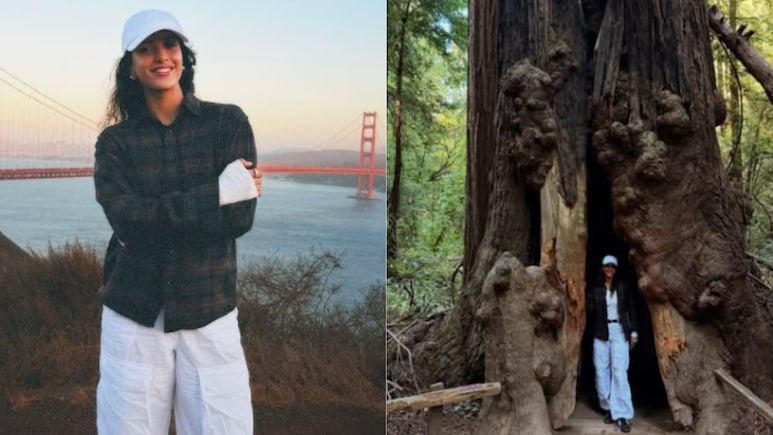 Golden Gate Bridge To Redwoods, Triptii Dimri's San Francisco Pictures Will Make You Want To Plan A Holiday