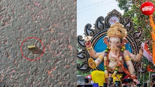 दिल्ली में गणेश विसर्जन में ताबड़तोड़ फायरिंग, शाहदरा में मची अफरा-तफरी, गुस्साई भीड़ ने एक को पकड़ा