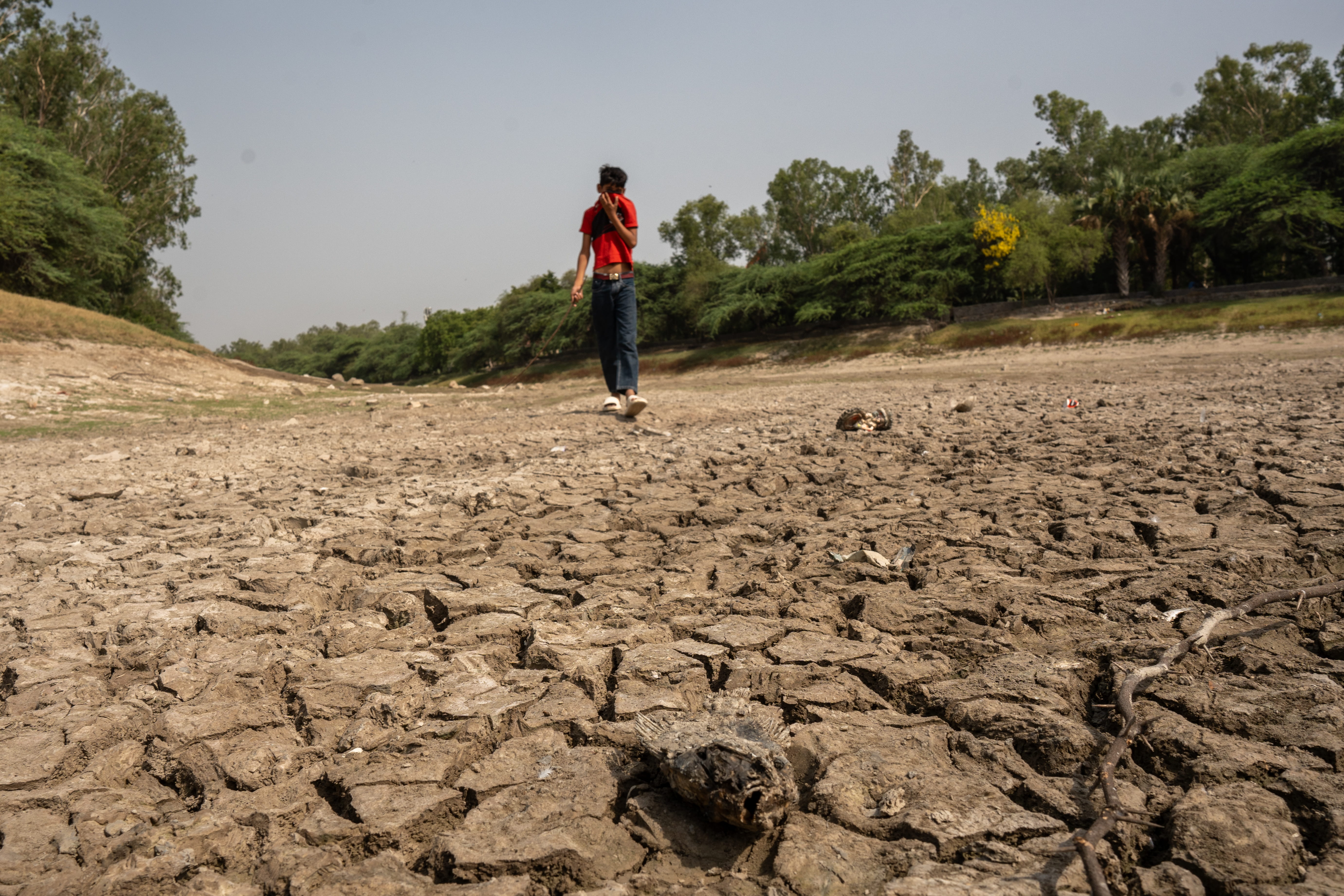 El Nino Puts India On Track For Its Driest Monsoon In 17 Years