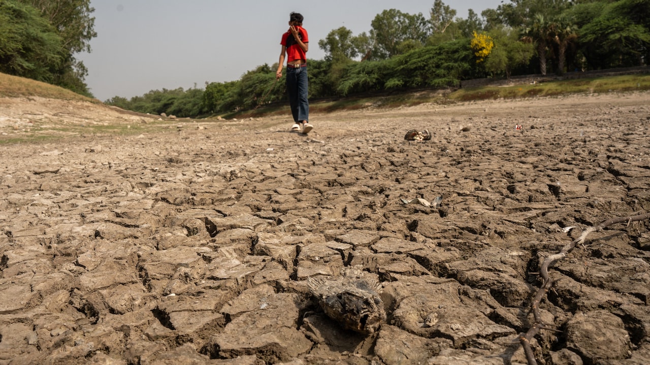 El Nino Puts India On Track For Its Driest Monsoon In 17 Years