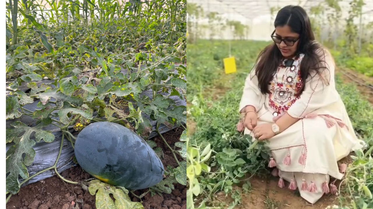 MBA Graduate Transforms 10 Acres Of Barren Land Into â¹25 Lakh-A-Year Farm