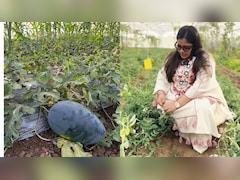 https://food.ndtv.com/food-drinks/mba-graduate-transforms-10-acres-of-rocky-barren-land-into-25-lakh-a-year-organic-farm-12109051