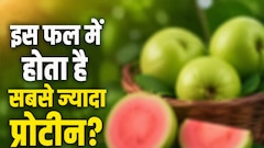 सिर्फ दाल-अंडे में नहीं, इन 5 फलों में भी भरपूर होता है प्रोटीन