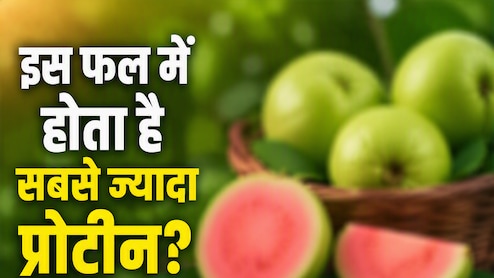 सिर्फ दाल-अंडे में नहीं, इन 5 फलों में भी भरपूर होता है प्रोटीन