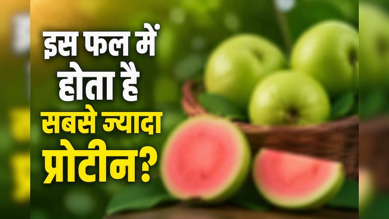 किस फल में सबसे ज्यादा प्रोटीन होता है?