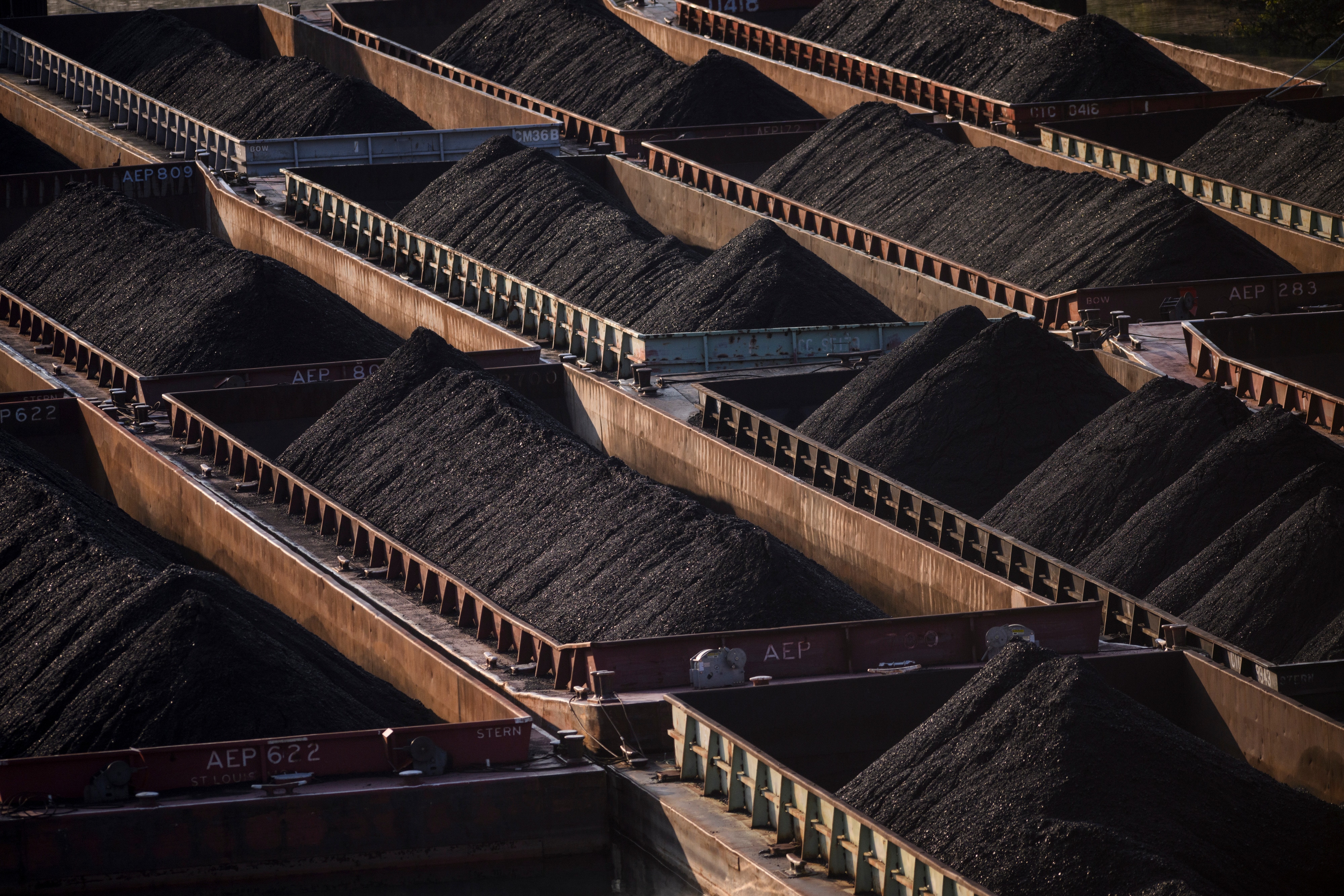 Trump and Xi sign coal-buying pledge as US-China tariff talks extend