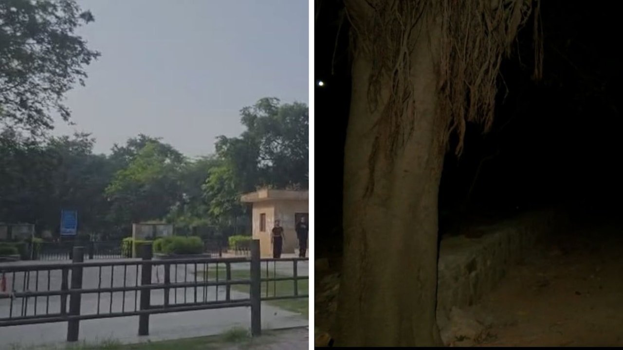 Park by day, dark by night Park by day, dark by night