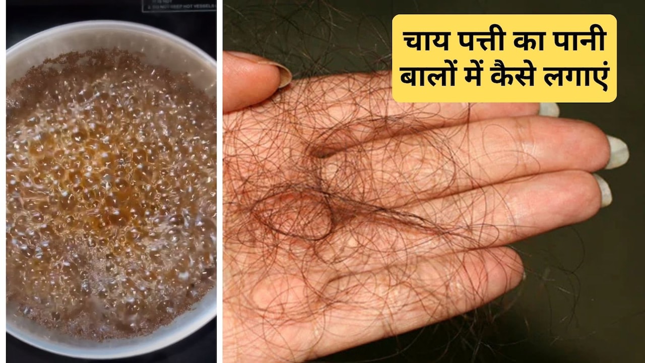 कौन सी पत्ती से बाल जल्दी बढ़ते हैं? बालों में चाय पत्ती लगाने का सही तरीका क्या है, जान‍िए यहां