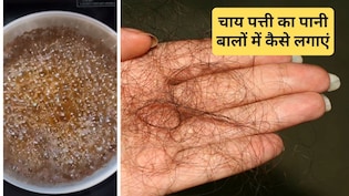 कौन सी पत्ती से बाल जल्दी बढ़ते हैं? बालों में चाय पत्ती लगाने का सही तरीका क्या है, जान&zwj;िए यहां