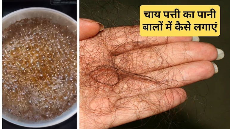 कौन सी पत्ती से बाल जल्दी बढ़ते हैं? बालों में चाय पत्ती लगाने का सही तरीका क्या है, जान&zwj;िए यहां