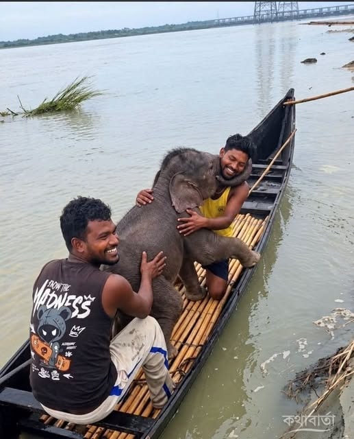 मछुआरों के साथ मस्ती करता हाथी का बच्चा. मछुआरों के साथ मस्ती करता हाथी का बच्चा.
