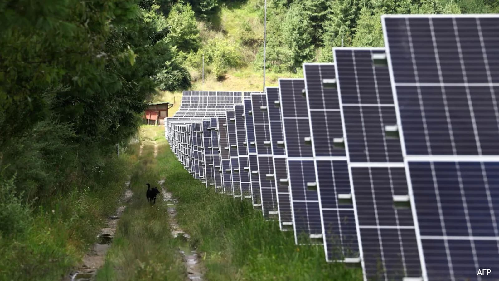 Bhutan Expands Solar Power to Complement Hydropower Amid Rising Demand