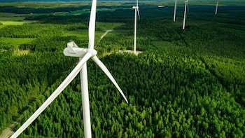 Inox Green Energy Opens Rs 300-Crore QIP With Option To Upsize: Sources