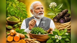 मोरिंगा से लकाडोंग हल्दी तक, PM Modi ने जिन औषधीय पौधों की तारीफ की, जानिए उनका इस्तेमाल