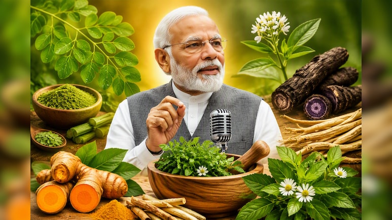 मोरिंगा से लकाडोंग हल्दी तक, PM Modi ने जिन औषधीय पौधों की तारीफ की, जानिए उनका इस्तेमाल