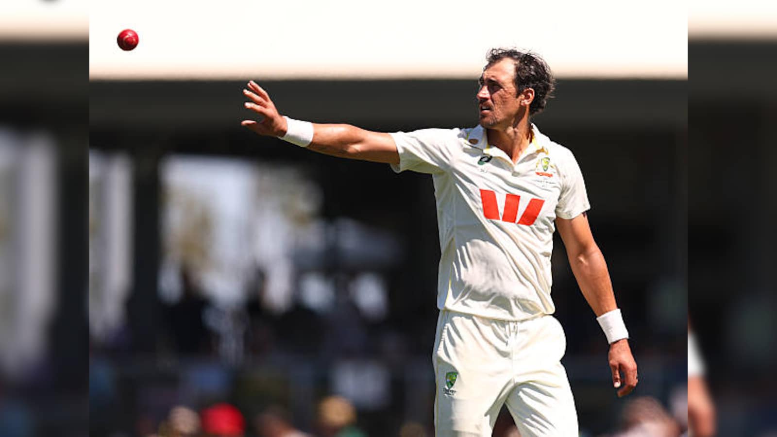 No Animosity There: Starc Plays Down Australia-South Africa Rivalry