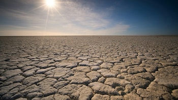 El Nino Threatens Over 450,000 Lives In Next Six Months, Nearly 16,000 In India At Risk: Study