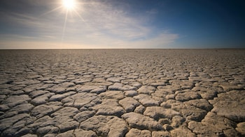 Deficient Rain Impact: Shadow of El Nino Threatens Upcoming Rabi Season After Kharif