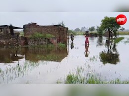 राजस्थान में फिर एक्टिव हुआ मानसून, धौलपुर में त्राहिमाम, 8 जिलों में बारिश का अलर्ट