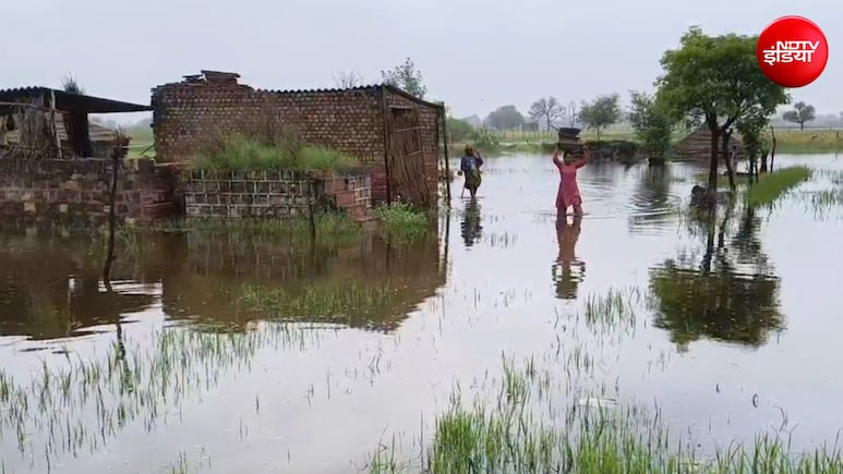 राजस्थान में फिर एक्टिव हुआ मानसून, धौलपुर में त्राहिमाम, 8 जिलों में बारिश का अलर्ट
