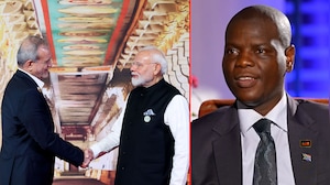 India A Key Voice Of Peace In Global Conflicts: South Africa FM To NDTV