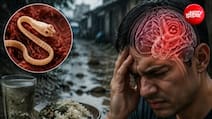 बरसात में छिपा है ब्रेन का दुश्मन ये कीड़ा, पेट से होते हुए दिमाग पर कर सकता है अटैक