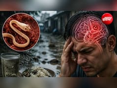 बरसात में छिपा है ब्रेन का दुश्मन ये कीड़ा, पेट से होते हुए दिमाग पर कर सकता है अटैक