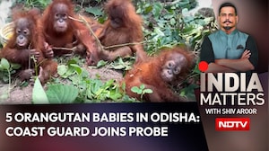 5 Orangutan Babies In Odisha: Coast Guard Joins Probe Into Suspected Smuggling Racket