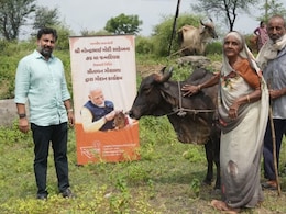 76 Underprivileged Women In Gujarat To Get Cows On PM Modi's 76th Birthday