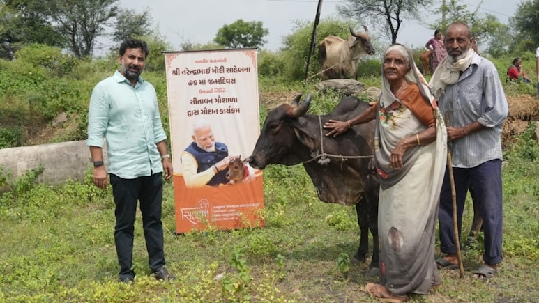 76 Underprivileged Women In Gujarat To Get Cows On PM Modi's 76th Birthday