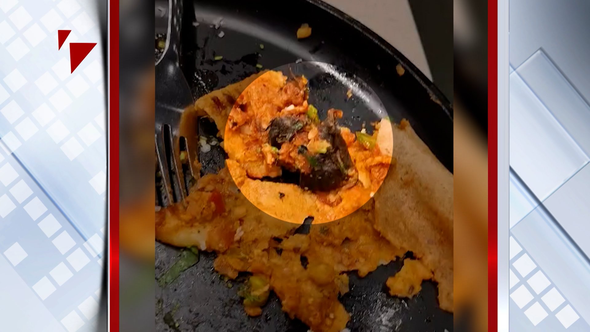 Dead Rat Allegedly Found Inside Masala Dosa At Mumbai Restaurant
