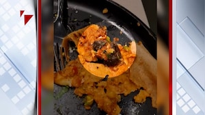 Dead Rat Allegedly Found Inside Masala Dosa At Mumbai Restaurant