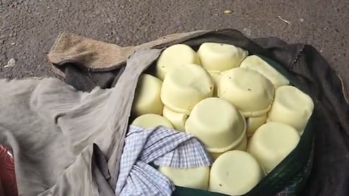 Delhi Food Authority Destroys 4,100 kg Unsafe Paneer, Khoya Amid Festive Season