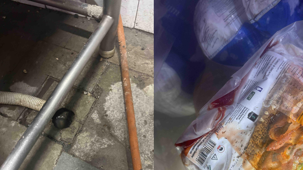 Cockroaches, Blood-Stained Fridges At Mumbai's Gallops, Licence Suspended