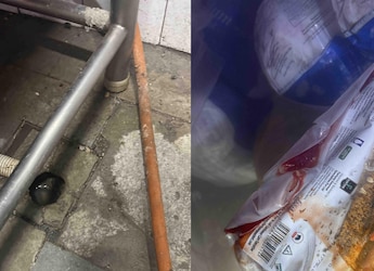 Cockroaches, Blood-Stained Fridges Found At Mumbai's Gallops, Licence Suspended